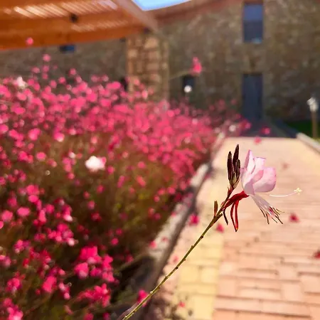 Villa Luxury Rhodes Verano 6 Guests Private Pool Lardos