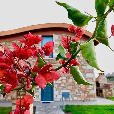 Villa Luxury Rhodes Verano 6 Guests Private Pool Lardos *