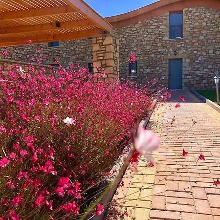 Luxury Rhodes Verano 6 Guests Private Pool Lardos Kiotari