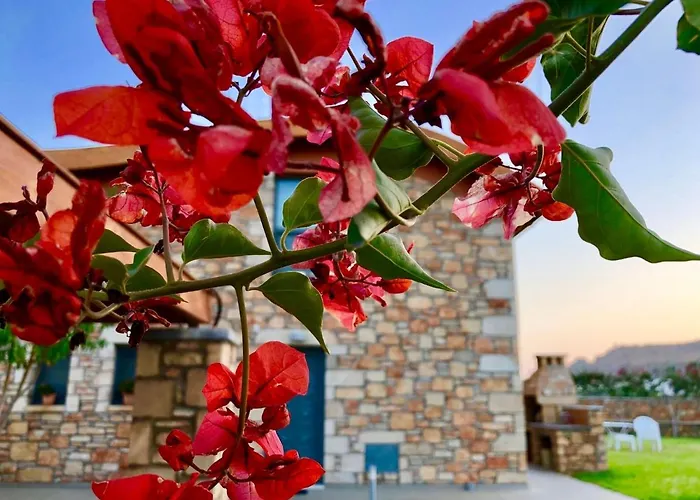 Luxury Rhodes Verano 6 Guests Private Pool Lardos فيلة *