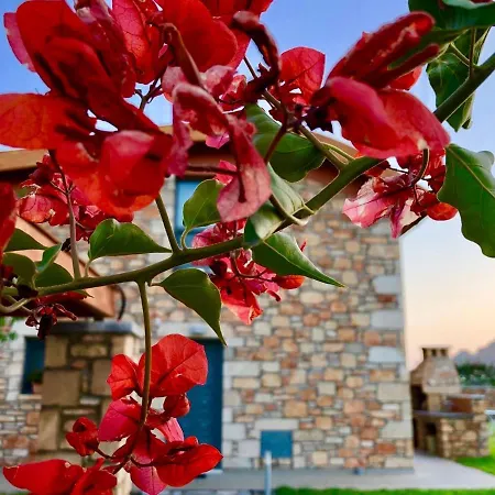 Luxury Rhodes Verano 6 Guests Private Pool Lardos Villa *